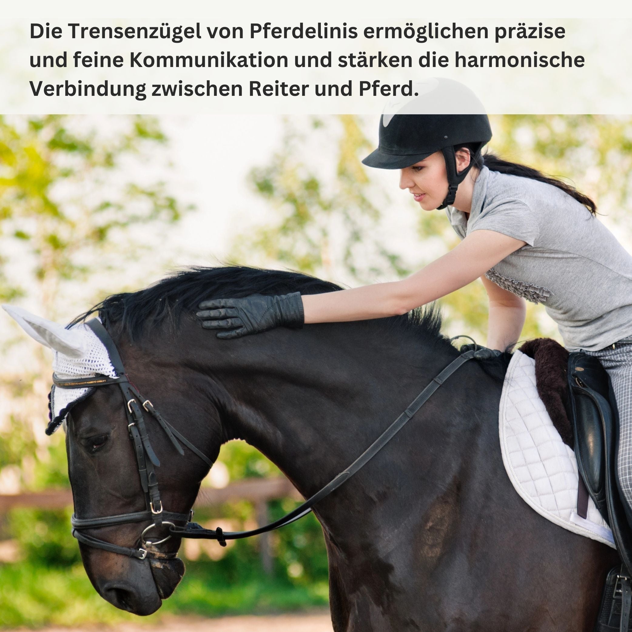 Gurtzügel Trensen Zügel für Pferde in Schwarz oder Braun
